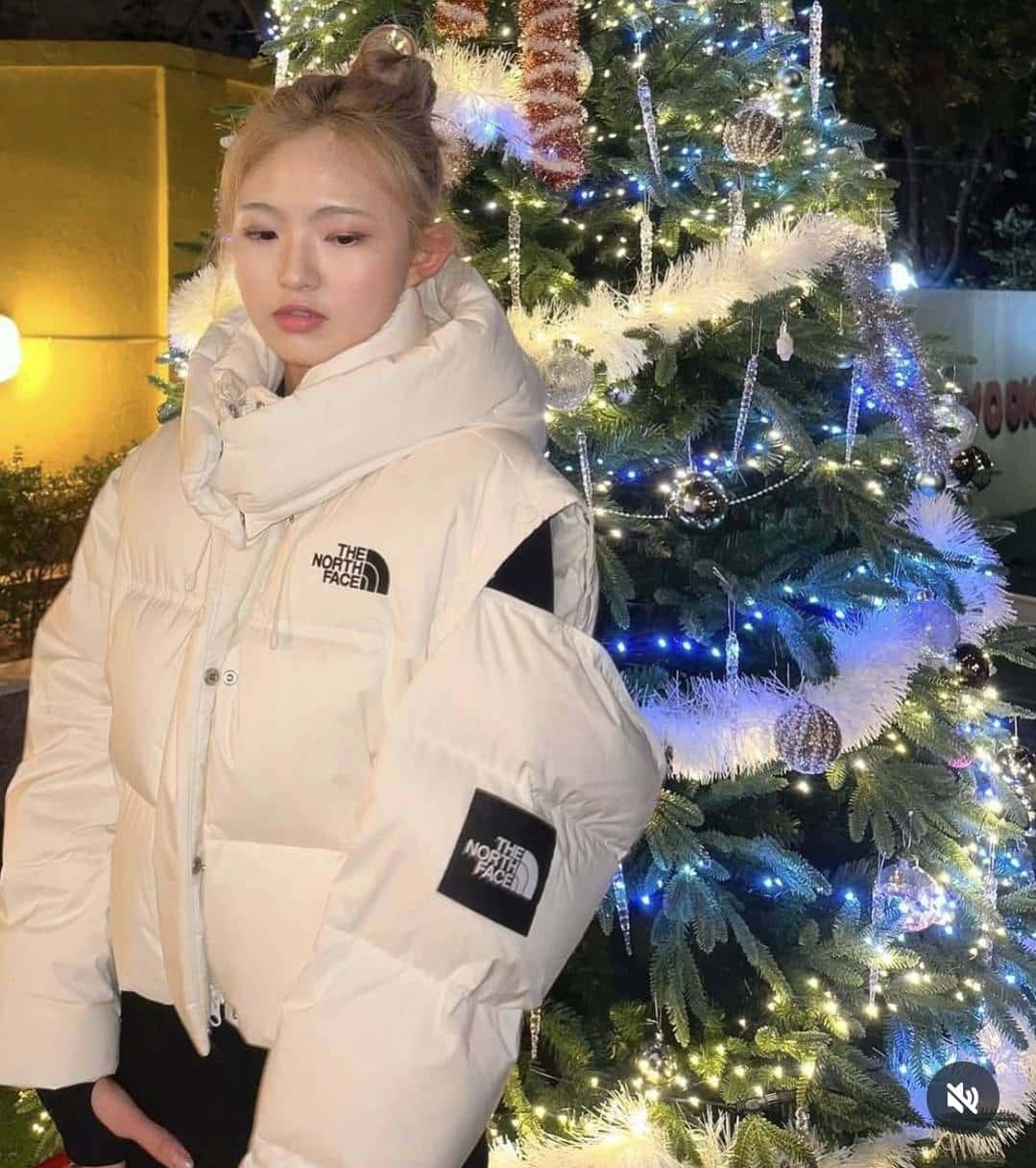 รหัส 0803 The North Face มี 2 สี ถอดแขนได้ W'S NOVELTY NUPTSE DT DOWN JACKET (RDS) - Image 2