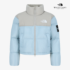 รหัส 0955 The North Face W'S NOVELTY NUPTSE (RDS)(NJ1DR85N)
