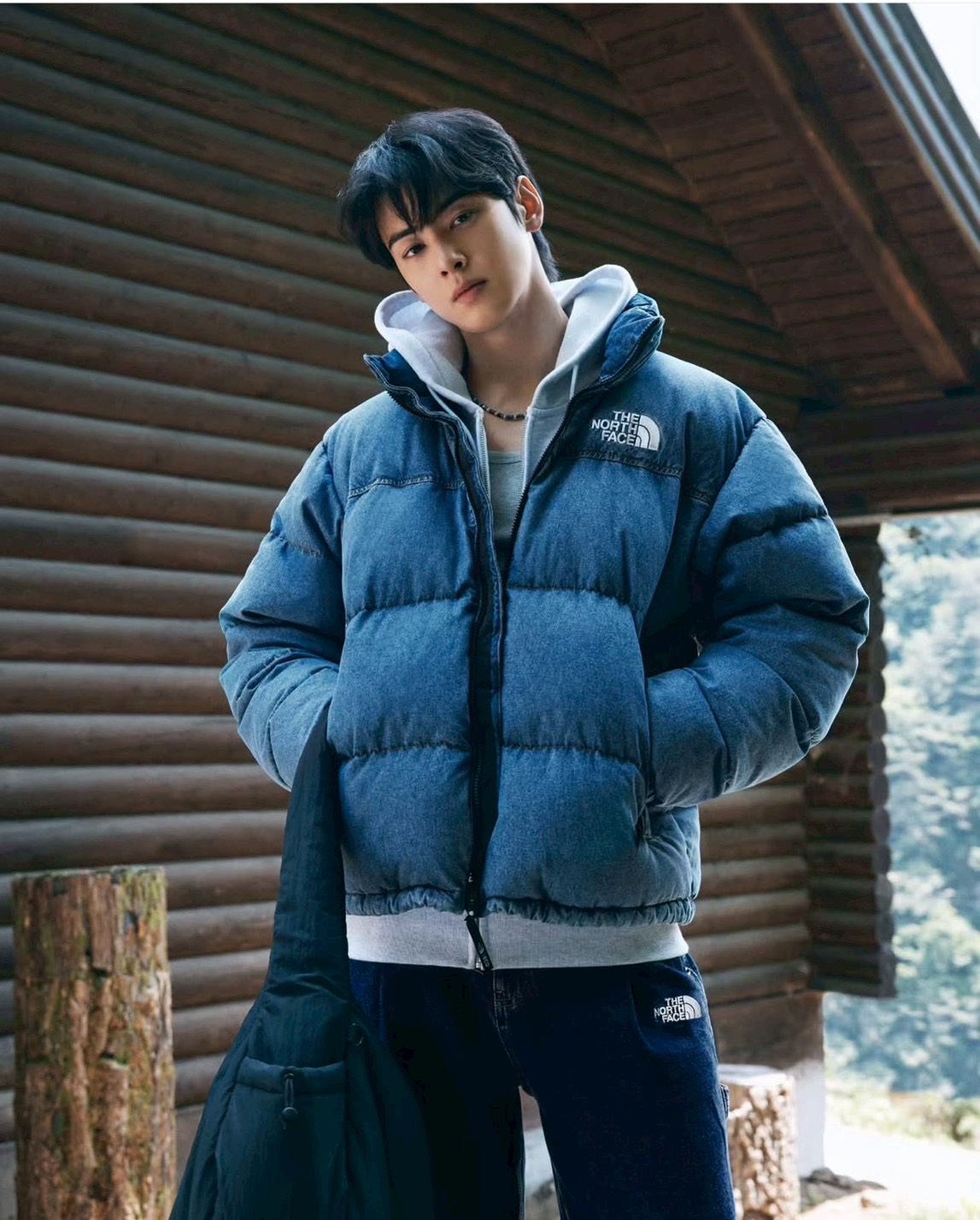 รหัส 0979 The North Face M'S BLUERIDGE NUPTSE JACKET - Image 2